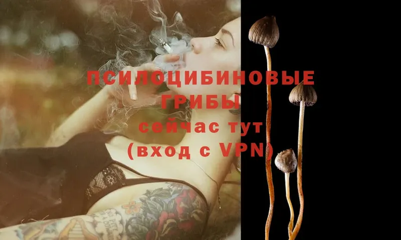 даркнет сайт  Таганрог  Галлюциногенные грибы MAGIC MUSHROOMS 